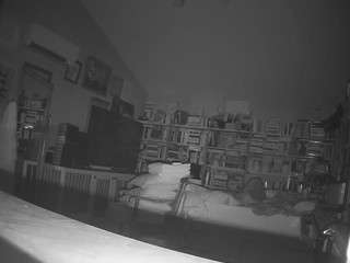 voyeurcam bridgetleewalters 02